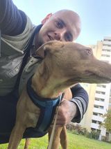 Фотография пользователя Daniel5668