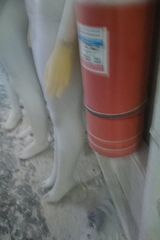 Фотография пользователя RestaG