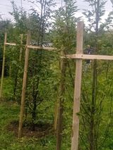 Foto pengguna GrzegorzC1200