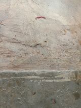 Fotka uživatele Sunyoto