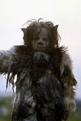 Benutzerfoto 2405mlody