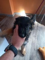 Фотография пользователя Gumis16011988