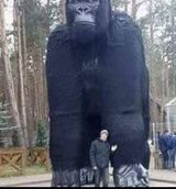 Фотография пользователя kopernatzkim