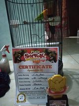 Foto utilizatorului Asolole