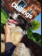 Zdjęcie użytkownika Danny8