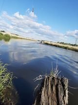 Foto utilizatorului adikidziki