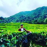 Foto pengguna All023A