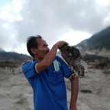 Фото користувача BudiSantoso1958