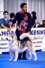 Fotka uživatele SetiawanPD