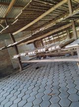 Zdjęcie użytkownika MasIan1997