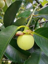 Zdjęcie użytkownika Kuys841