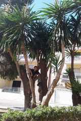 Benutzerfoto MariuszRybinski152