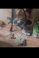 Zdjęcie użytkownika WallaceB