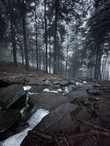 Foto pengguna Prz94