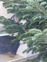 Zdjęcie użytkownika PeciakT