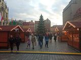 Zdjęcie użytkownika Mikusiooo