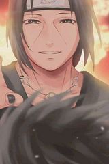 Фотография пользователя Edwardjason1100