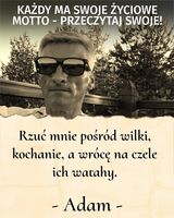 Фотография пользователя ScislowiczAdam