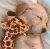 Benutzerfoto jamesbald