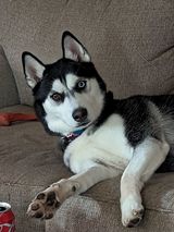 Zdjęcie użytkownika travissl