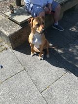 Foto utilizatorului tomaszuk