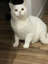 Фото користувача viperr666