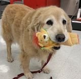 Benutzerfoto f4dwq9r