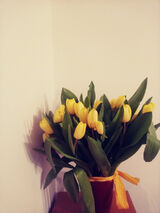 Benutzerfoto Bubupaw