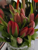 Foto utilizatorului panieneczka454