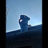 Benutzerfoto AlusBl
