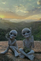 Fotka uživatele TomaszPrzemyslawMt