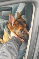 Zdjęcie użytkownika Karol1211