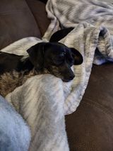 Zdjęcie użytkownika LeroyB