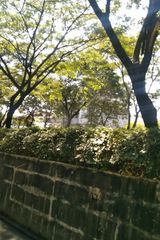 Foto utilizatorului Deyan