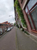 Фотография пользователя KunickiAdrian1996