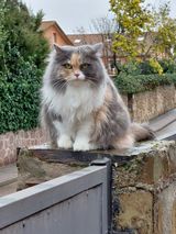 Zdjęcie użytkownika Izabela344