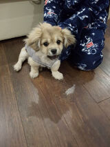 Фотография пользователя KrzyzakZb