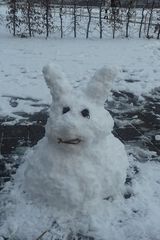 Zdjęcie użytkownika BastianSeba1