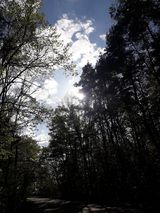 Фотография пользователя Arthur