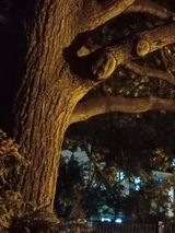 Foto utilizatorului WojtasikEm