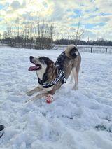 Zdjęcie użytkownika Rudzki98