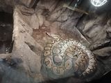 Фотография пользователя Slodziak555