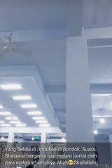 Фотография пользователя pitri