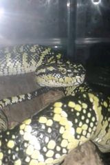 Фото користувача Yasfin