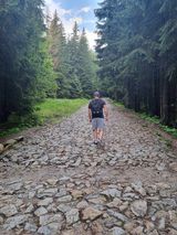 Benutzerfoto Jasiek2884