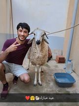 Zdjęcie użytkownika youcefpimpim10