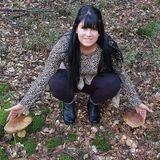 Fotos ksiezniczkapati