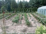Fotos ZdzislawGr