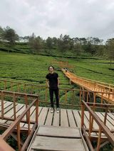 Fotos arispramono111195