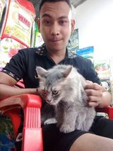 Zdjęcie użytkownika MohdRafi